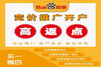 百度推广费用投入与品牌知名度提升的案例分析